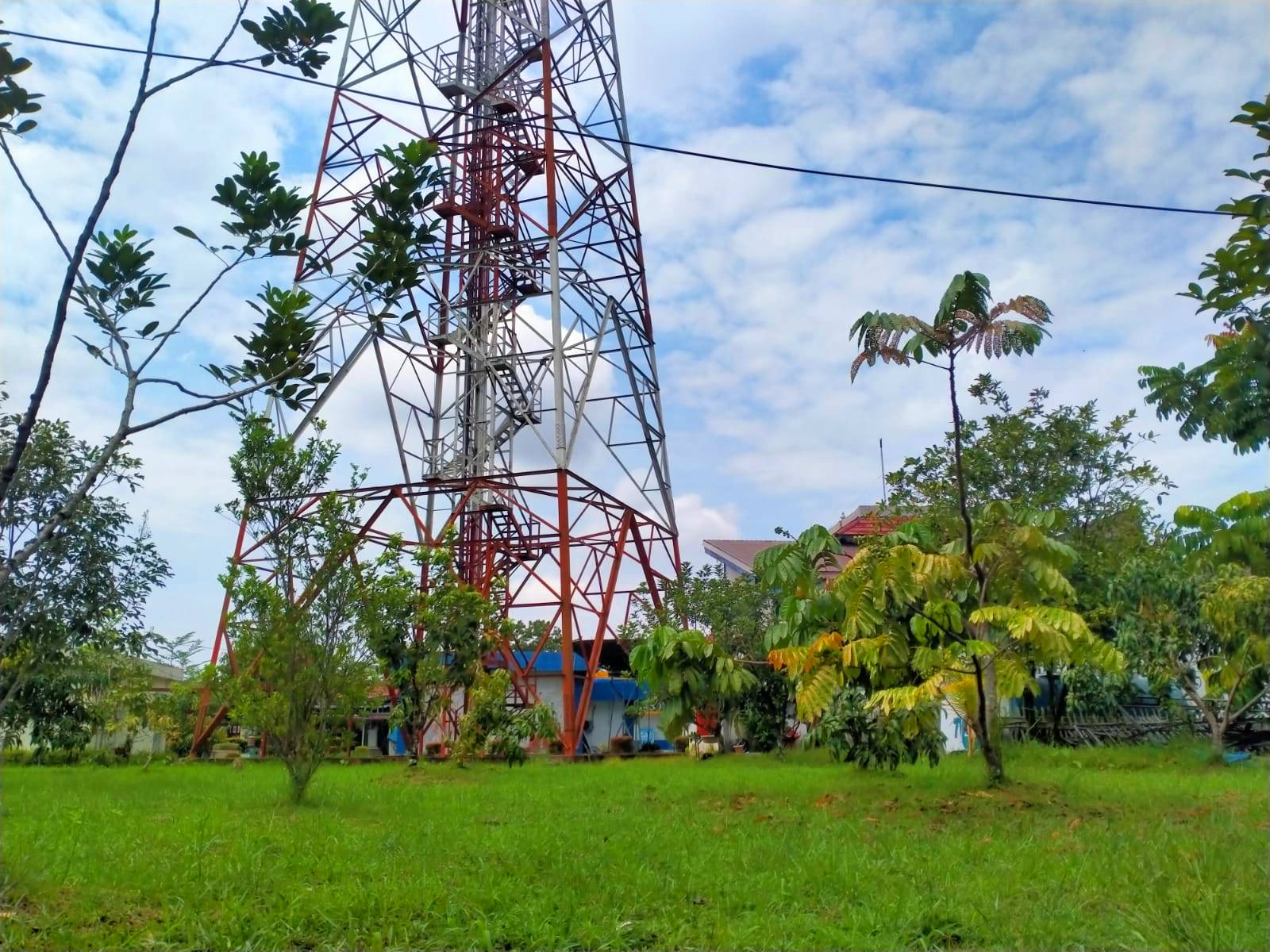 TVRI Satsiun Kalimantan Barat berhasil mengubah lahan perkarangan kantor menjadi kebun buah mini yang hijau dan rindang